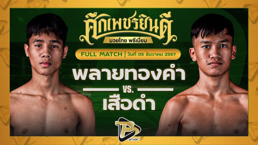 พลายทองคำ แอ๊ดสันป่าตอง VS เสือดำ อ.เพชรขุนศึก