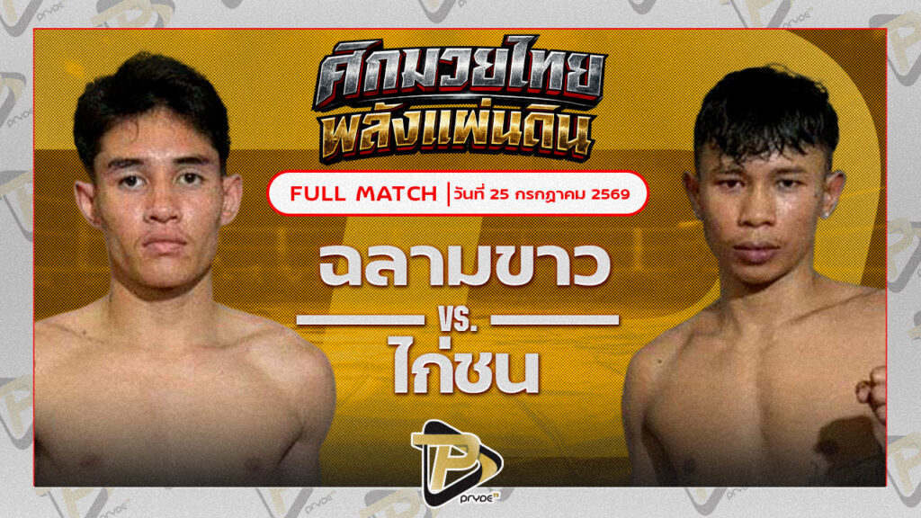 ฉลามขาว จิตรเมืองนนท์ VS ไก่ชน ศ.ประวัติเมือง